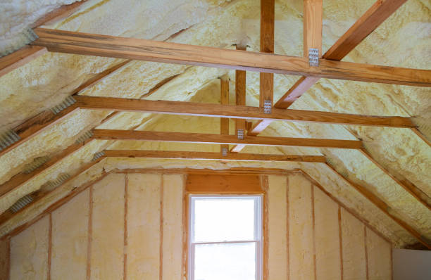 Best Garage Insulation Installation  in Jesup, GA