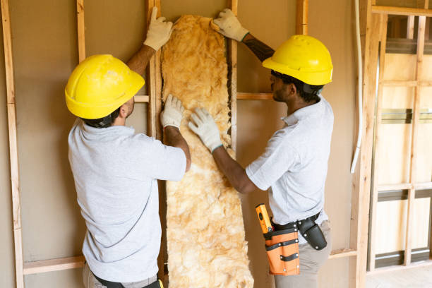 Best Blown-in Insulation  in Jesup, GA