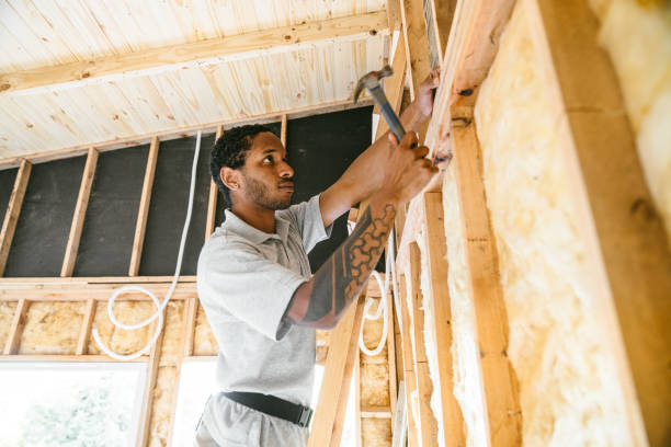 Best Insulation for New Construction  in Jesup, GA