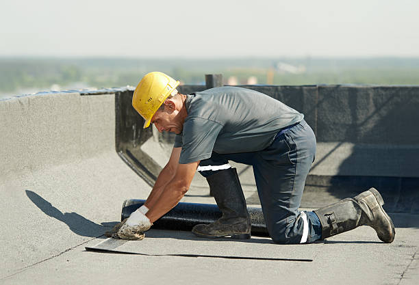 Best Affordable Insulation Services  in Jesup, GA